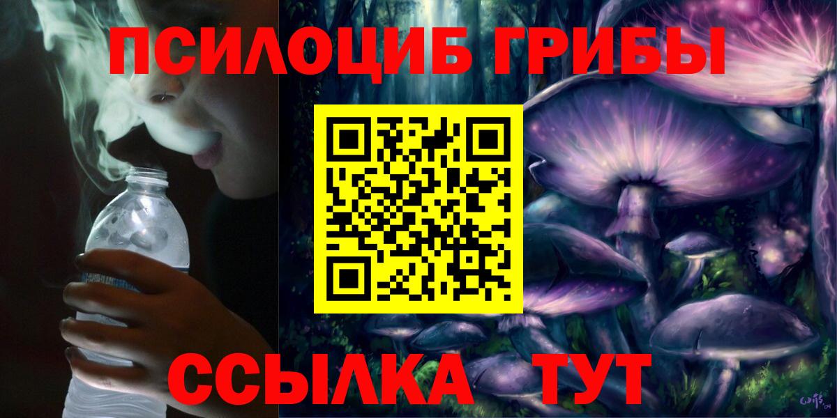Псилоцибиновые грибы GOLDEN TEACHER Хасавюрт