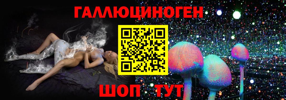 Галлюциногенные грибы Psilocybine cubensis  Вход с VPN  Хасавюрт  Псилоцибиновые грибы Psilocybe 